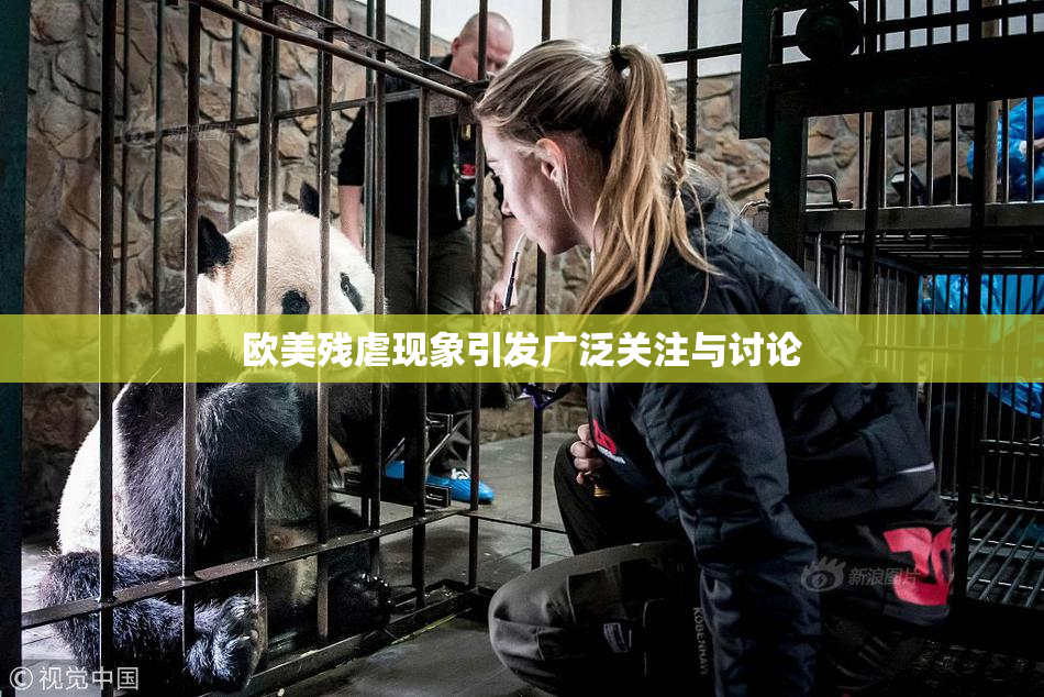 欧美残虐现象引发广泛关注与讨论