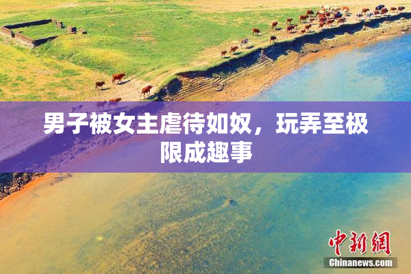男子被女主虐待如奴，玩弄至极限成趣事