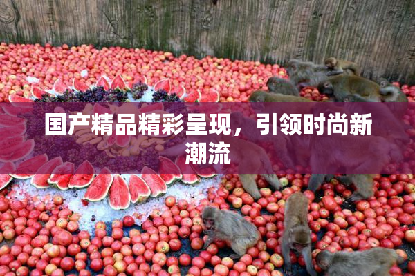 国产精品精彩呈现，引领时尚新潮流