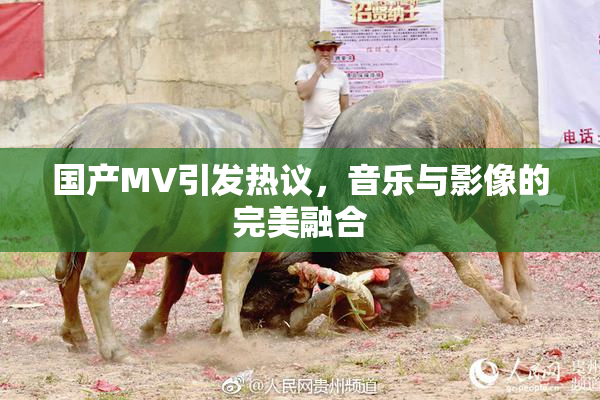 国产MV引发热议，音乐与影像的完美融合