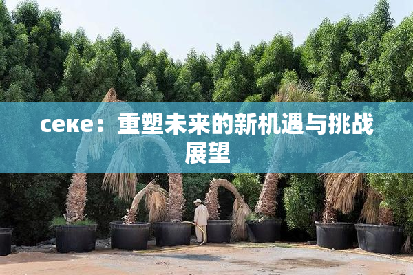 ceке：重塑未来的新机遇与挑战展望