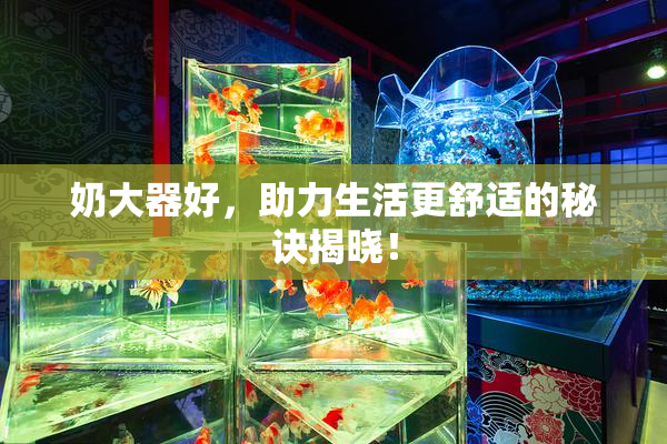奶大器好，助力生活更舒适的秘诀揭晓！