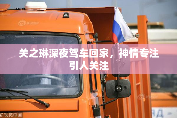 关之琳深夜驾车回家，神情专注引人关注