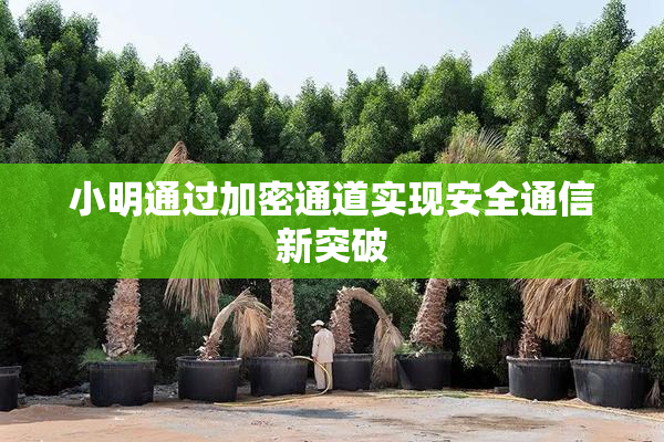 小明通过加密通道实现安全通信新突破