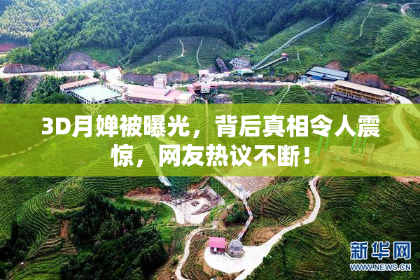 3D月婵被曝光，背后真相令人震惊，网友热议不断！