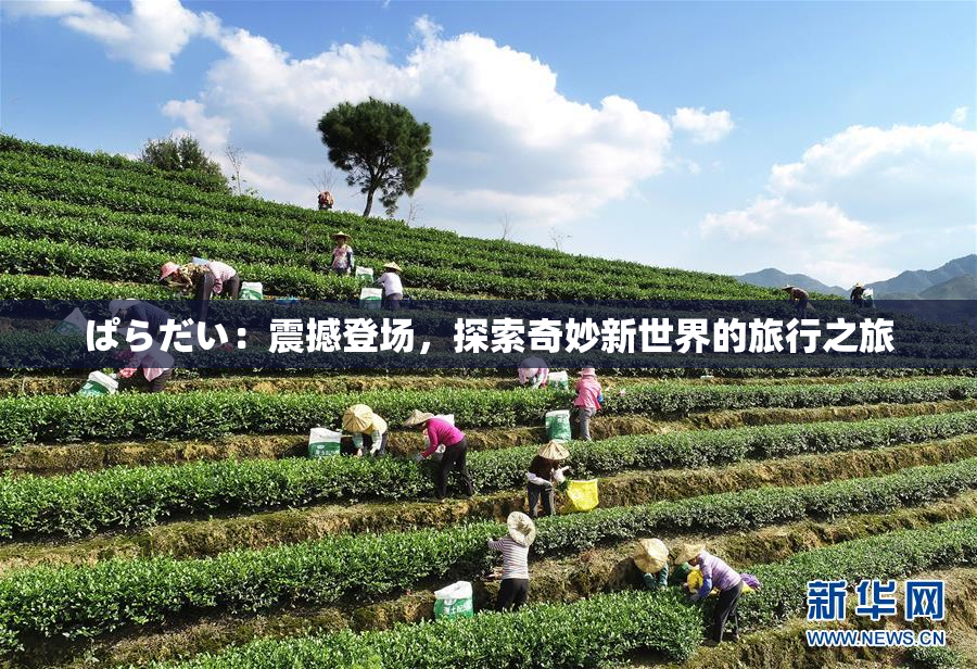 ぱらだい：震撼登场，探索奇妙新世界的旅行之旅