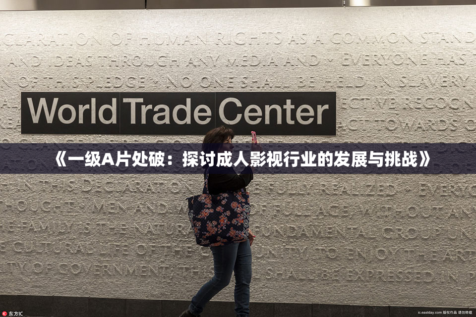 《一级A片处破：探讨成人影视行业的发展与挑战》