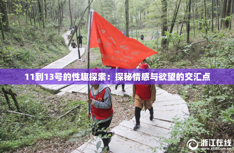 11到13号的性趣探索：探秘情感与欲望的交汇点