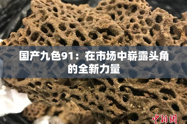 国产九色91：在市场中崭露头角的全新力量