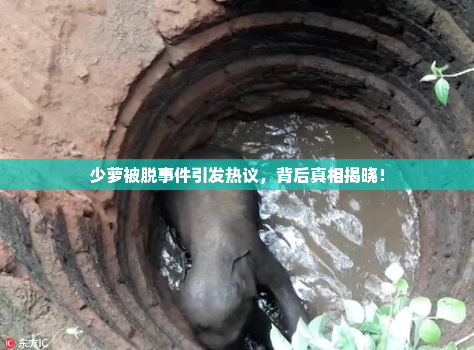 少萝被脱事件引发热议，背后真相揭晓！