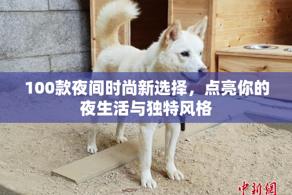 100款夜间时尚新选择，点亮你的夜生活与独特风格