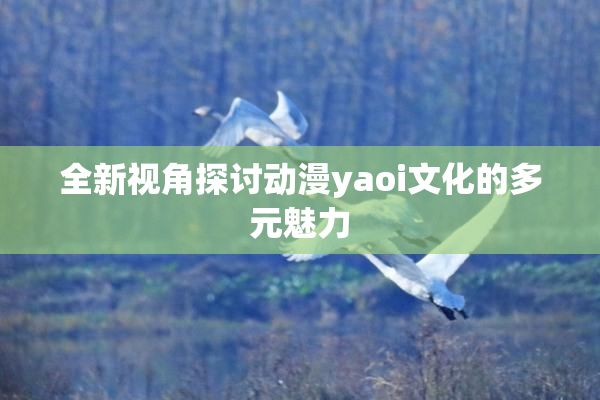 全新视角探讨动漫yaoi文化的多元魅力