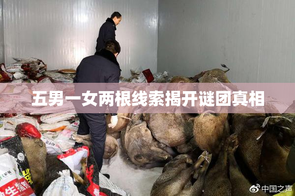 五男一女两根线索揭开谜团真相