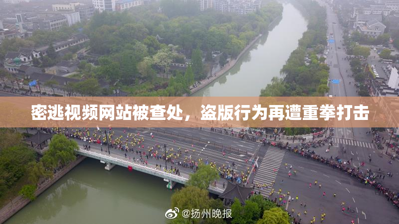 密逃视频网站被查处，盗版行为再遭重拳打击