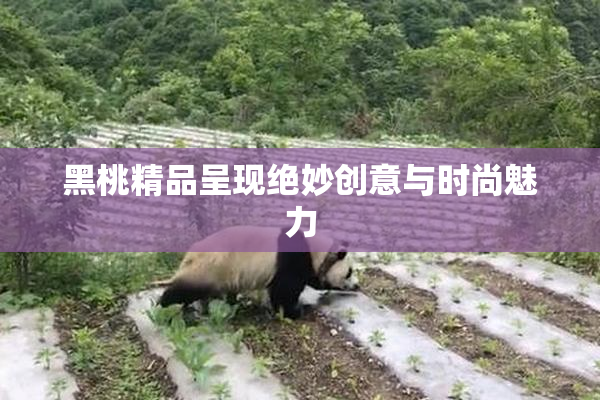 黑桃精品呈现绝妙创意与时尚魅力