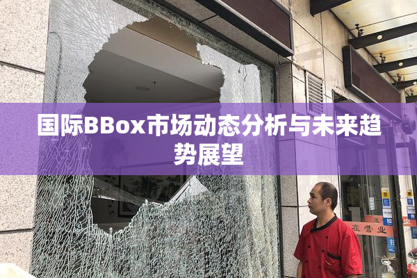 国际BBox市场动态分析与未来趋势展望