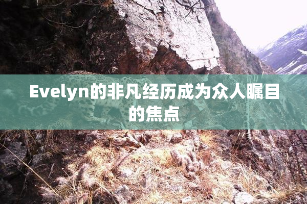 Evelyn的非凡经历成为众人瞩目的焦点