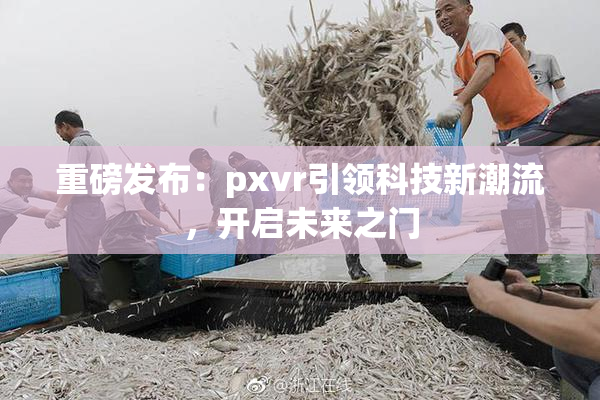 重磅发布：pxvr引领科技新潮流，开启未来之门
