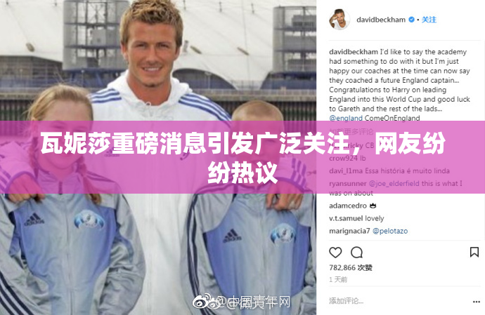 瓦妮莎重磅消息引发广泛关注，网友纷纷热议