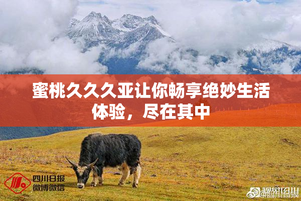 蜜桃久久久亚让你畅享绝妙生活体验，尽在其中