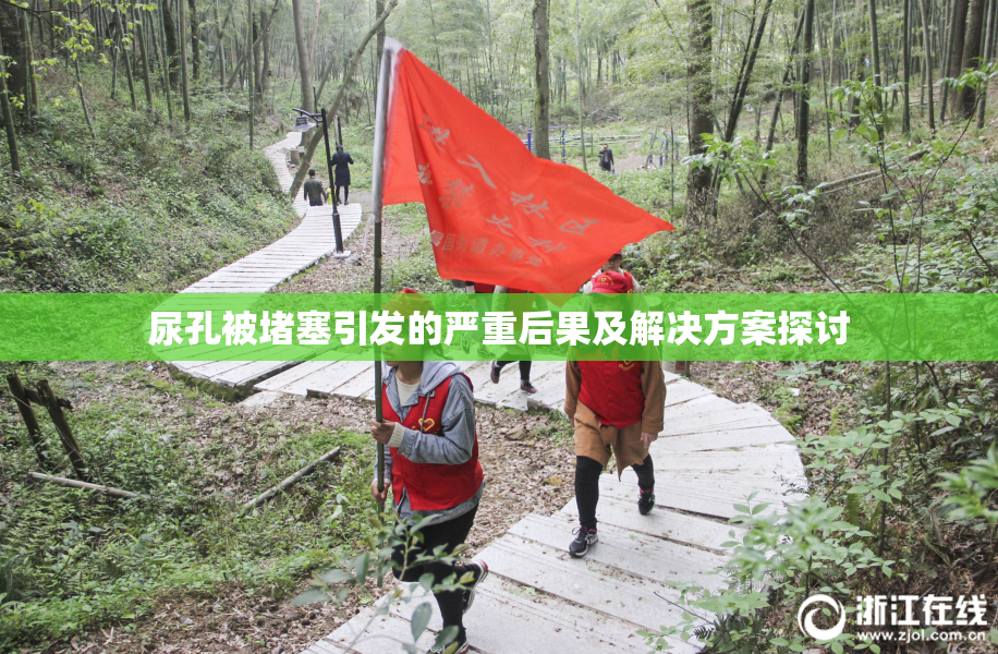 尿孔被堵塞引发的严重后果及解决方案探讨