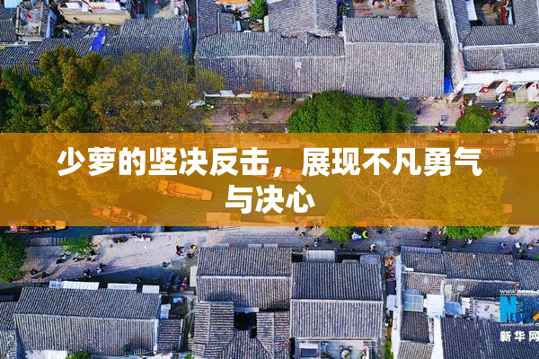 少萝的坚决反击，展现不凡勇气与决心