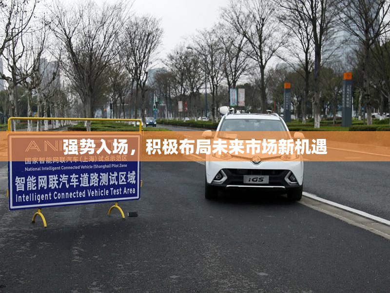 强势入场，积极布局未来市场新机遇