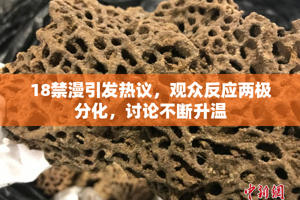 18禁漫引发热议，观众反应两极分化，讨论不断升温