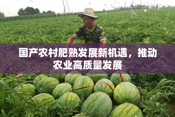 国产农村肥熟发展新机遇，推动农业高质量发展