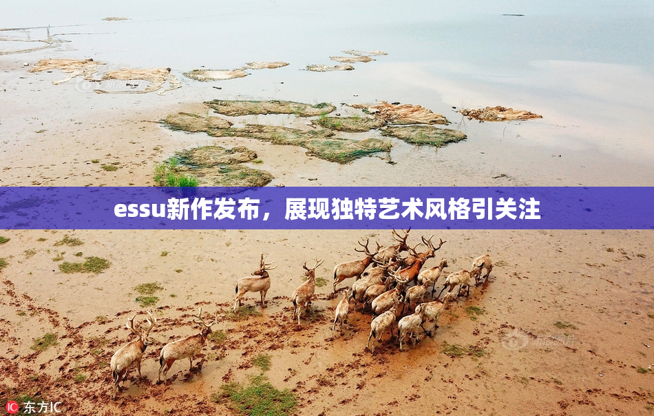 essu新作发布，展现独特艺术风格引关注