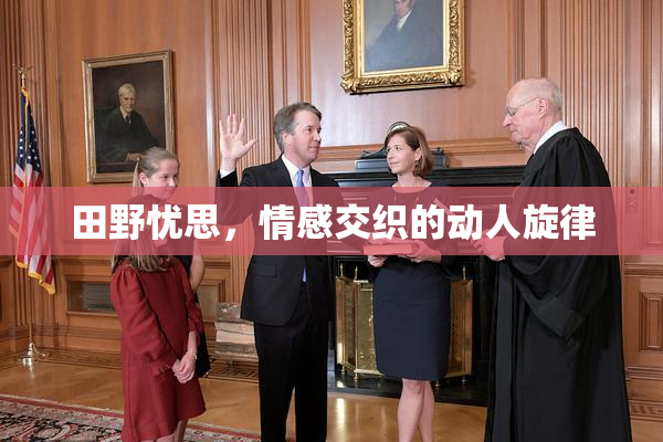 田野忧思，情感交织的动人旋律