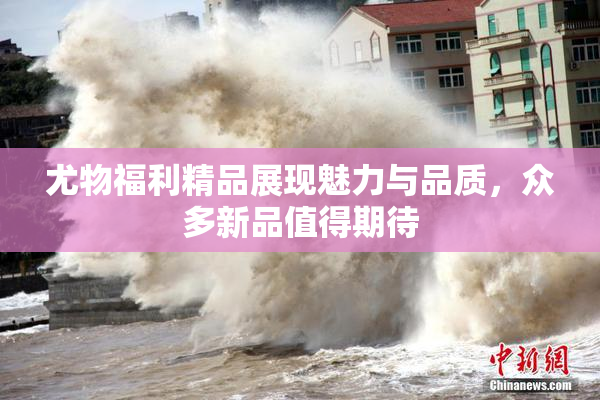 尤物福利精品展现魅力与品质，众多新品值得期待