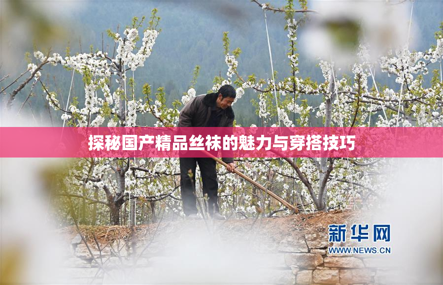 探秘国产精品丝袜的魅力与穿搭技巧