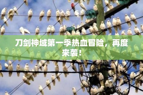 刀剑神域第一季热血冒险，再度来袭！