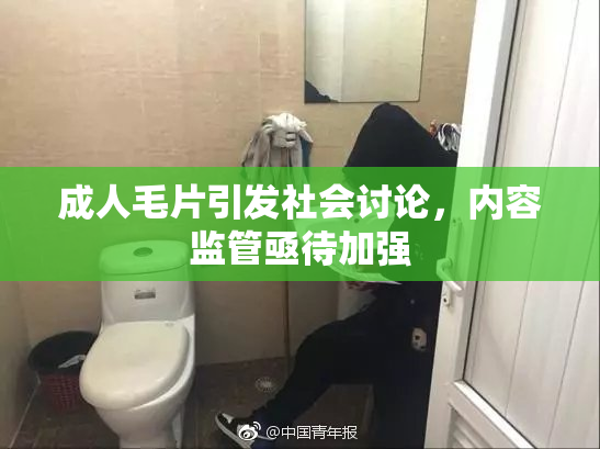 成人毛片引发社会讨论，内容监管亟待加强