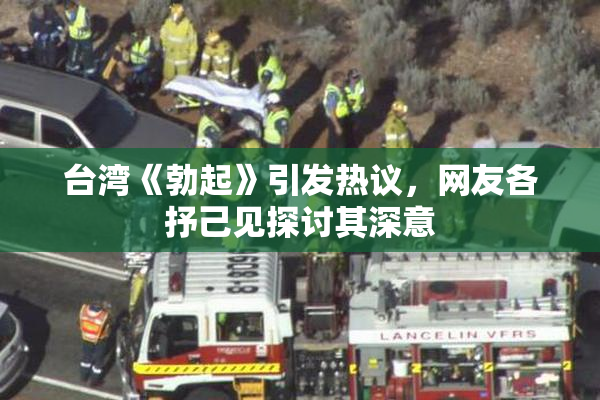 台湾《勃起》引发热议，网友各抒己见探讨其深意