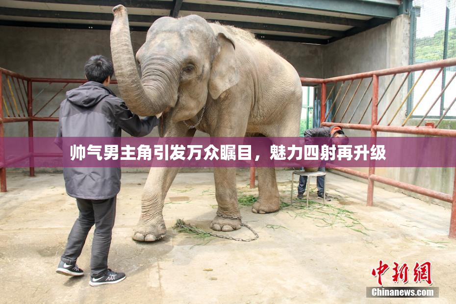 帅气男主角引发万众瞩目，魅力四射再升级