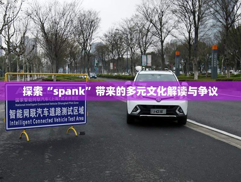 探索“spank”带来的多元文化解读与争议