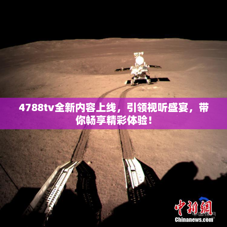 4788tv全新内容上线，引领视听盛宴，带你畅享精彩体验！