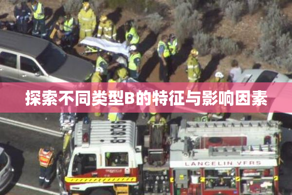 探索不同类型B的特征与影响因素