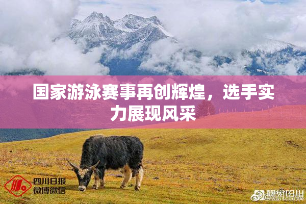 国家游泳赛事再创辉煌，选手实力展现风采