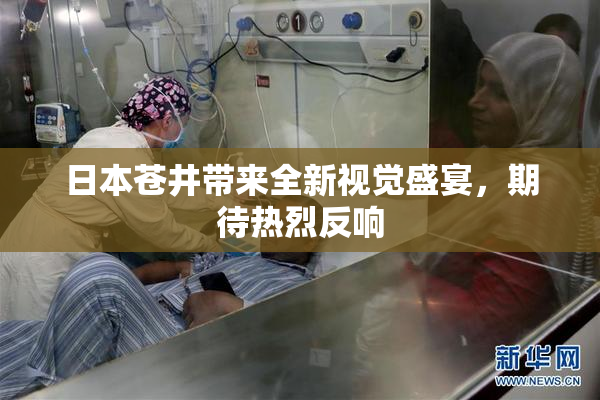 日本苍井带来全新视觉盛宴，期待热烈反响