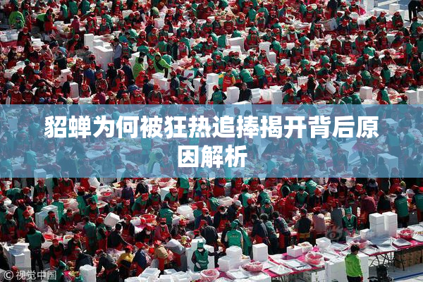 貂蝉为何被狂热追捧揭开背后原因解析