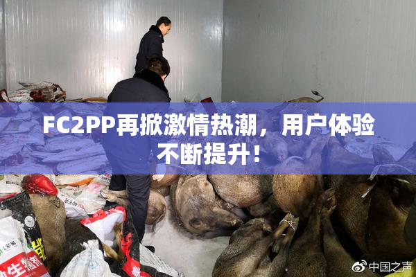 FC2PP再掀激情热潮，用户体验不断提升！