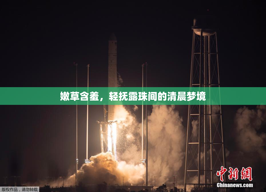 嫩草含羞，轻抚露珠间的清晨梦境