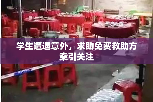 学生遭遇意外，求助免费救助方案引关注