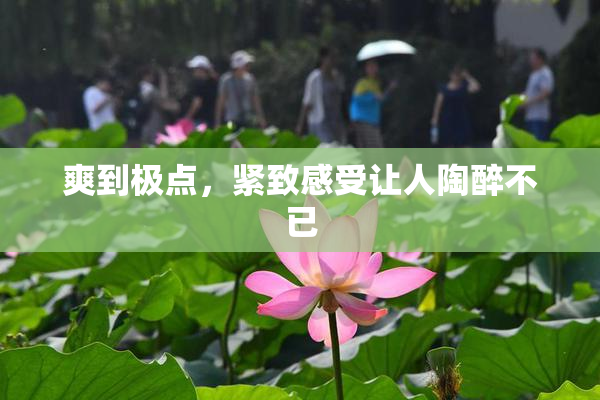 爽到极点，紧致感受让人陶醉不已