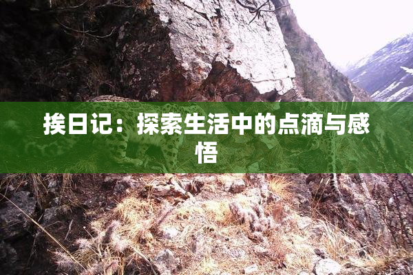 挨日记：探索生活中的点滴与感悟