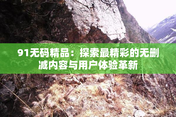 91无码精品：探索最精彩的无删减内容与用户体验革新