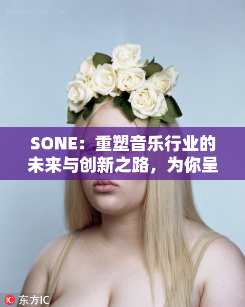 SONE：重塑音乐行业的未来与创新之路，为你呈现全新体验！